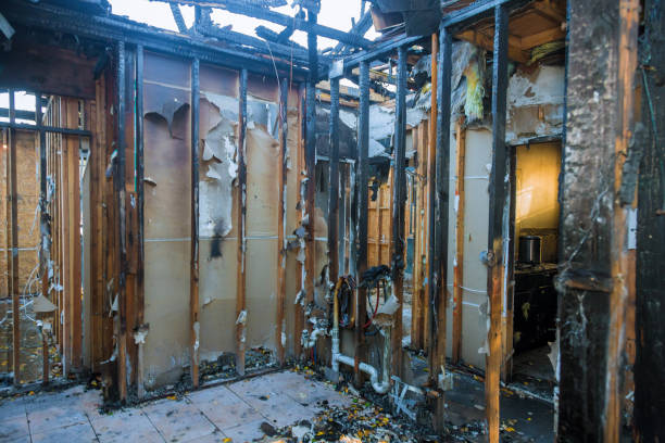 Professional Smoke Damage Removal technician working in Chantilly, VA